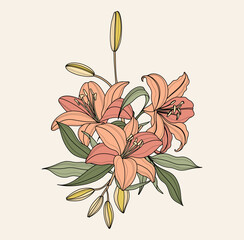 Lily Flower Line Art. Floral Frames and Bouquets Line Art. Fine Line Lilies Frames Hand Drawn Illustration. Outline Leaves and Flowers for design of card and wedding invitations.