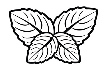 Minimalist Mint Leaves Vector Illustration In Black And White Outlined Style