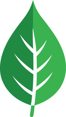 vector illustration of a tree