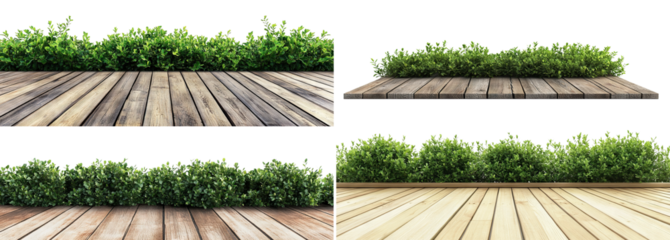 Set of wooden floor textures with fresh foliage, isolated on transparent cutout background