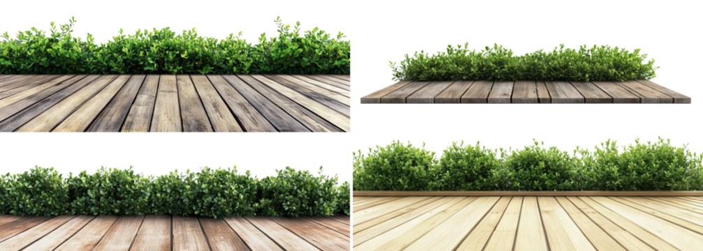 Set of wooden floor textures with fresh foliage, isolated on transparent cutout background