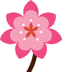 pink flower isolated on white