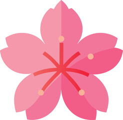pink flower on white background