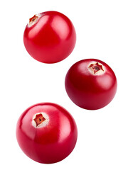 Cranberry