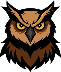 owl on a white background