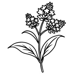 Minimal Goldenrod Flower Vector Illustration on White Background