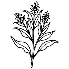 Minimal Goldenrod Flower Vector Illustration on White Background