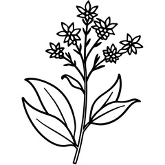 Minimal Goldenrod Flower Vector Illustration on White Background