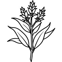 Minimal Goldenrod Flower Vector Illustration on White Background