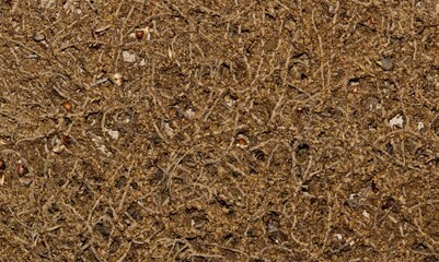 Leaf litter from Chinese tallow tree Springtime nature hayfever allergies.