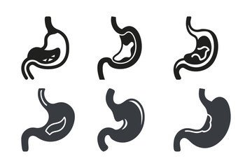 Fototapeta premium Stomach Icon Set: Medical and Digestive System Illustrations