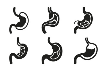 Obraz premium Stomach Icon Set: Medical and Digestive System Illustrations