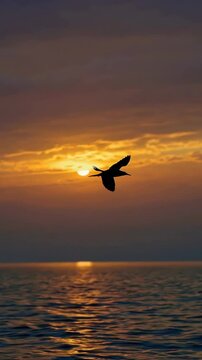 Serene bird flight across ocean sunset horizon captures tranquil beauty