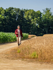Obraz premium Technology of modern agriculture. Farmer man working on field with tablet. Hispanic farmer with tablet check harvest. Crop harvest. Farmer agronomist man with tablet in field. Freshly harvested crops