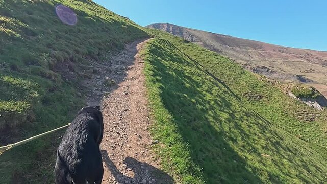 Point of view dog walking border collie peak district England sunny day Mam tor mountain region hills landscapes Holiday in England Casteton