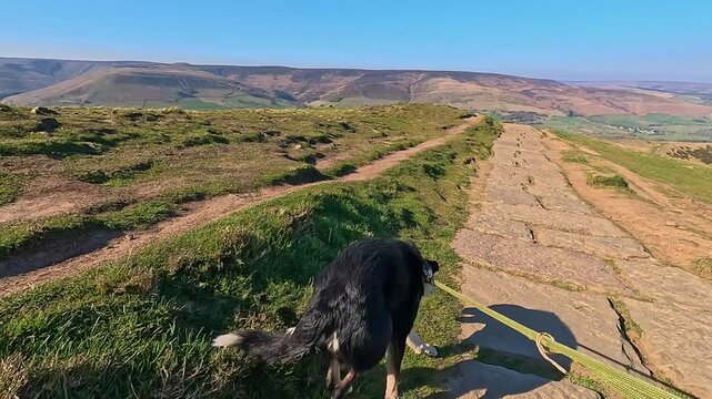 Point of view dog walking border collie peak district England sunny day Mam tor mountain region hills landscapes Holiday in England Casteton