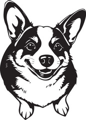 Corgi dog. Hand drawn vector illustration