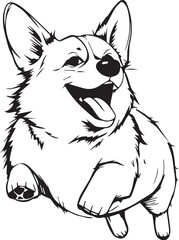 Corgi dog. Hand drawn vector illustration