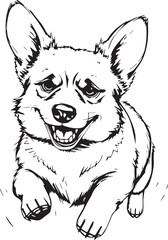 Corgi dog. Hand drawn vector illustration