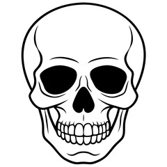 human skull vector illustration