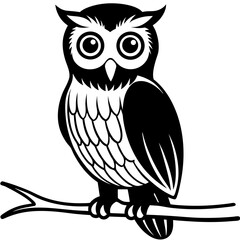 owl on white background