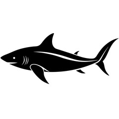 great white shark