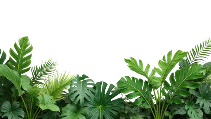 Lush Tropical Greenery Border on Black Background