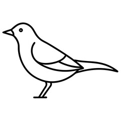 Elegant Birds Line Art Vector Illustration | Minimalist Bird Drawings | Hand-Drawn Bird Sketch | Flying Birds Silhouette | Nature-Inspired Bird Artwork for Logos, Prints, Crafts, and Wall Art | Digita