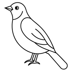 Elegant Birds Line Art Vector Illustration | Minimalist Bird Drawings | Hand-Drawn Bird Sketch | Flying Birds Silhouette | Nature-Inspired Bird Artwork for Logos, Prints, Crafts, and Wall Art | Digita