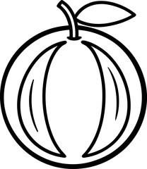 galia melon line art vector on transparent background