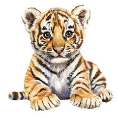 Fototapeta premium Baby Tiger Cub Portrait with Striking Expression and Detail