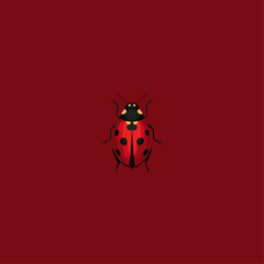 Lady bug icon logo flat vector design
