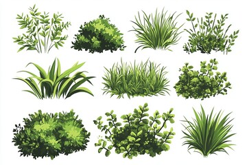 Illustration showing different types of green bushes and grass on a white background design elements
