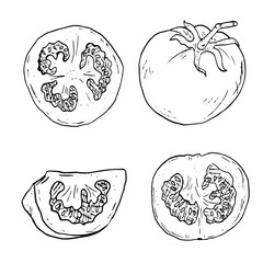 Tomato with slice of tomato in the form of a sketch. A set of black and white vector illustrations. Ripe cherry tomato, on a white background. Fresh organic vegetables, healthy harvest, ink drawing. 