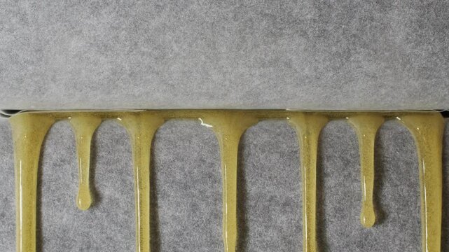 Freshly pressed medical cannabis, hash, live rosin, close-up. Concentrate or cannabis oil obtained by heat-pressing fresh marijuana auto-flowering plants. Production of CBD isolate