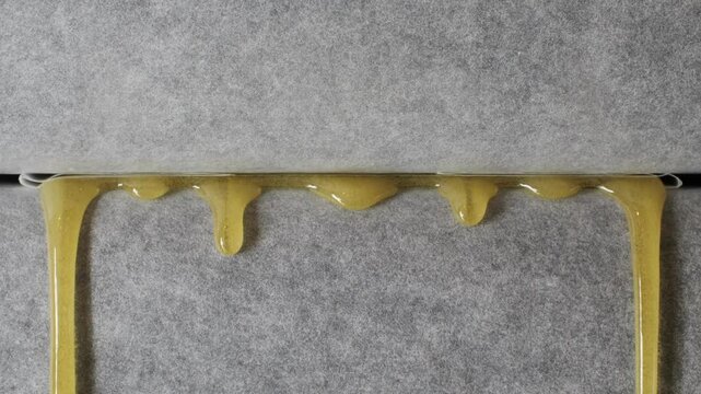 Freshly pressed medical cannabis, hash, live rosin, close-up. Concentrate or cannabis oil obtained by heat-pressing fresh marijuana auto-flowering plants. Production of CBD isolate