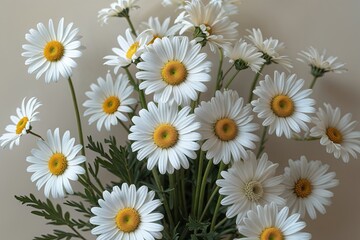 Fototapeta premium Elegant Cream Canvas Adorned with Charming White Daisy Blooms