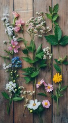 Fototapeta premium Botanical spring flat lay with flowers and natural elements, top view, no people, soft pastel vibe.