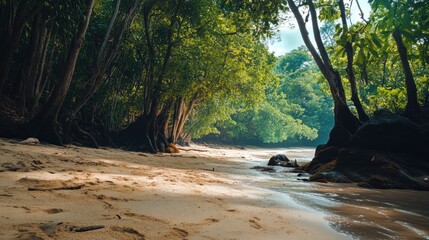 Travelers Exploring a Scenic Sandy Beach with Lush