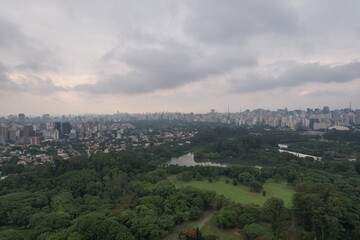 Obraz premium Spectacular view of Sao Paulo showcasing lush greenery and urban skyline