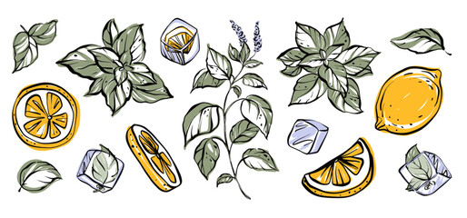 Refreshing summer vector clipart set with mint leaves, citrus slices, and ice cubes. Hand drawn juicy elements in green and yellow. Perfect for drinks, postcards, and cool food designs.