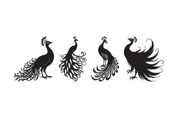 Peacock Silhouette Vector Set Decorative Bird Art Collection