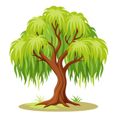 Illustration of a willow tree with vibrant green leaves cascading down. This flat vector depiction emphasizes the tree's graceful form and character, suitable for various design projects