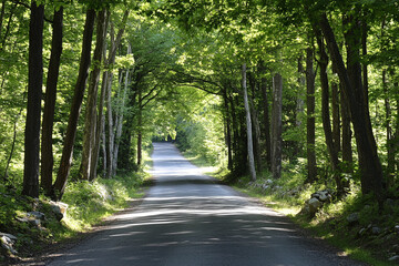 Fototapeta premium A winding road through a dense forest, illuminated by sunbeams filtering through lush foliage, creating a serene and enchanting atmosphere.