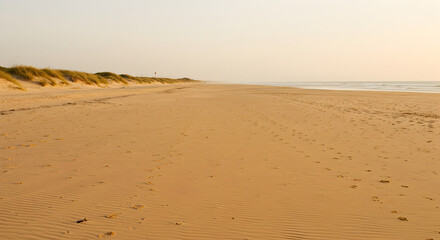 Golden Hour Illuminates Tranquil Beach With Rolling Dunes And Soft Waves