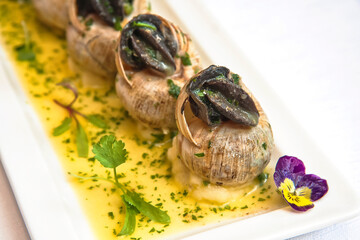 Burgundy snails, buttered snails with parsley, a traditional French gourmet dish, French food