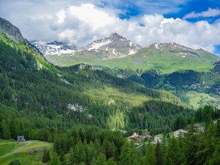 Naklejka premium A breathtaking alpine landscape featuring lush green valleys, dense pine forests, and snow-capped peaks under a vibrant blue sky. Nestled among the hills, a charming mountain village completes this id