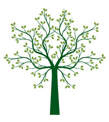 Green Tree with Leaves. Vector outline Illustration.