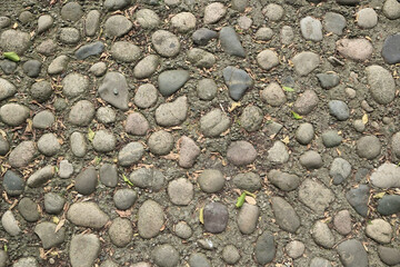 Top Down View Background Texture Of An Old Cobblestone Pavement Made Of Rounded Grey River Stones Set In Earth Or Mortar With Small Leaves Scattered Around.