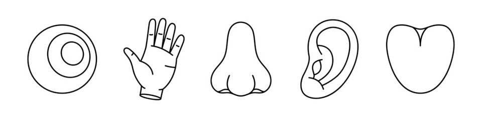Five human senses line icon set. Vision, smell, hearing, touch, taste.